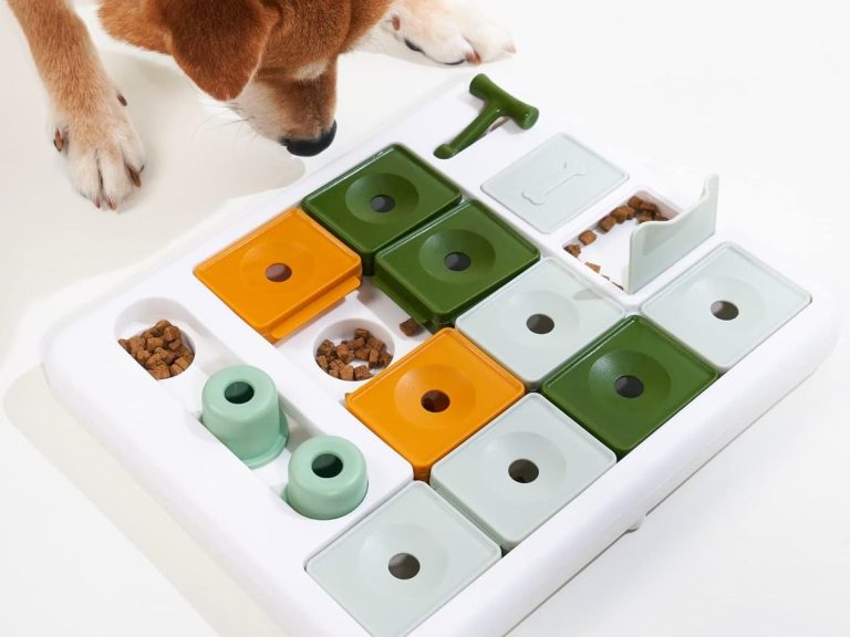 Barkwhiz 3-Level Treat Puzzle