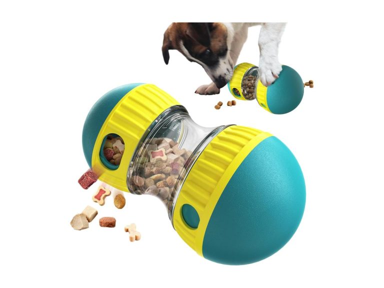BSISUERM Treat Ball and Slow Feeder