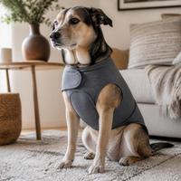 Dog sitting calmly in a gray fabric anxiety wrap