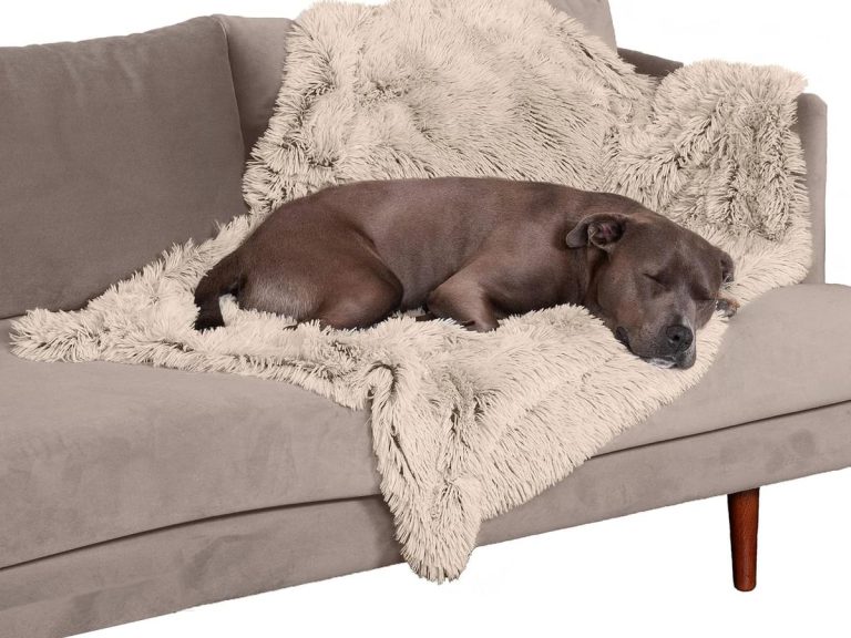 Furhaven Waterproof Throw Blanket