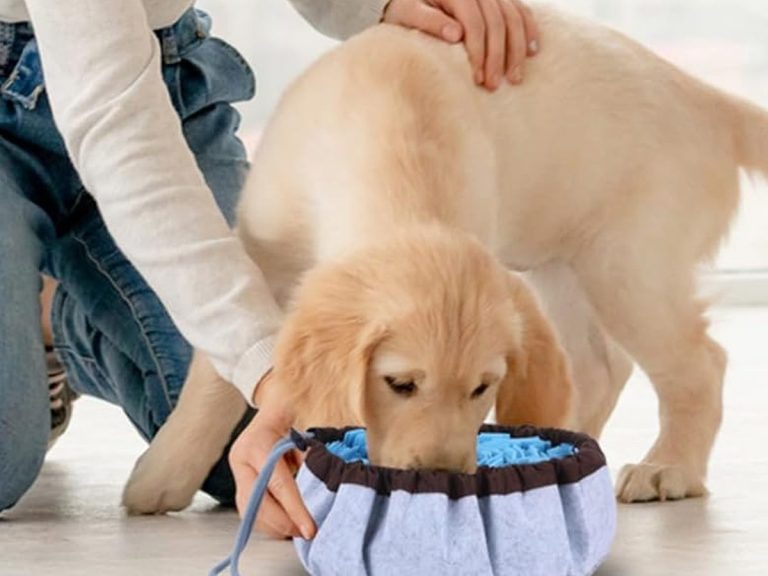 PET ARENA Adjustable Snuffle Mat