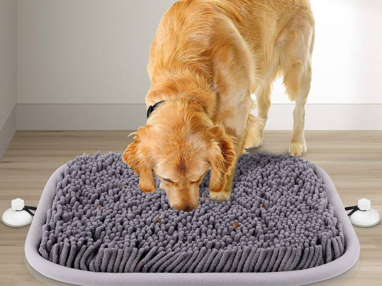 Rundik Snuffle Mat
